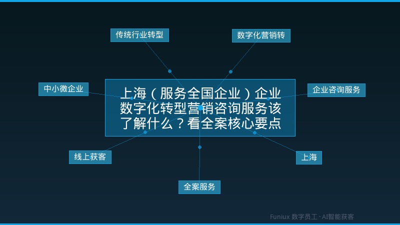 上海(服务全国企业)企业数字化转型营销咨询服务该了解什么?看全案核心要点