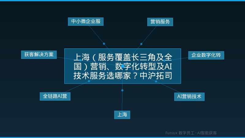 上海(服务覆盖长三角及全国)营销、数字化转型及AI技术服务选哪家?中沪拓司路