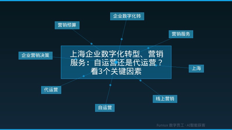 上海企业数字化转型、营销服务:自运营还是代运营?看3个关键因素