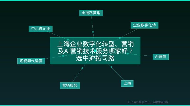 上海企业数字化转型、营销及AI营销技术服务哪家好?选中沪拓司路